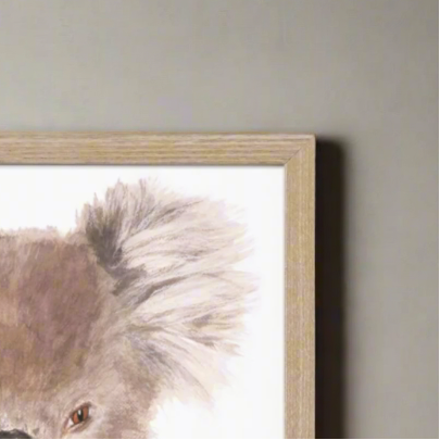 Noah the Koala