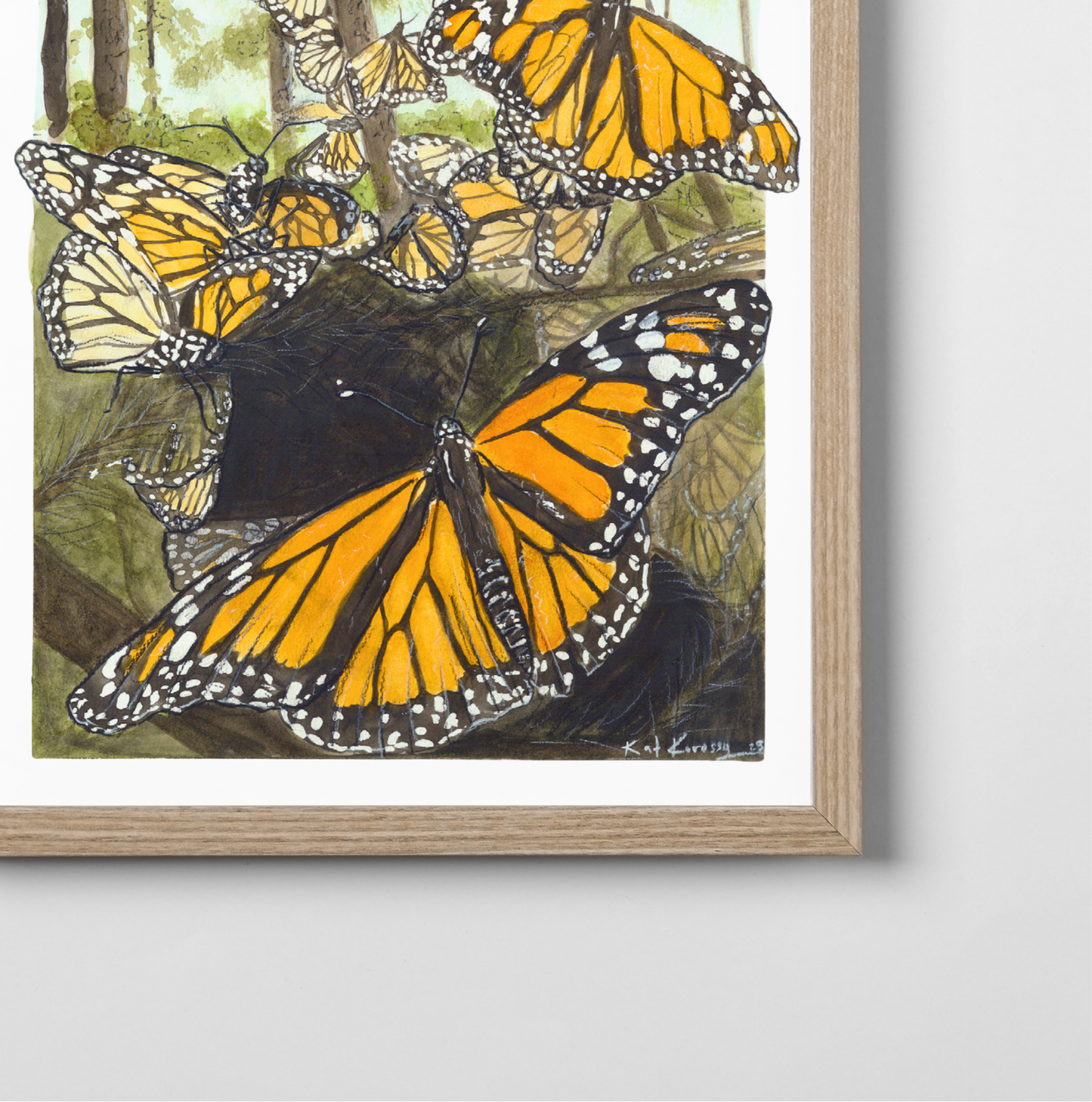 Monarch Butterfly