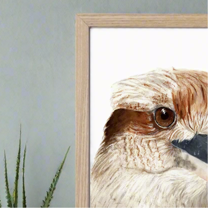 Kookie The Kookaburra