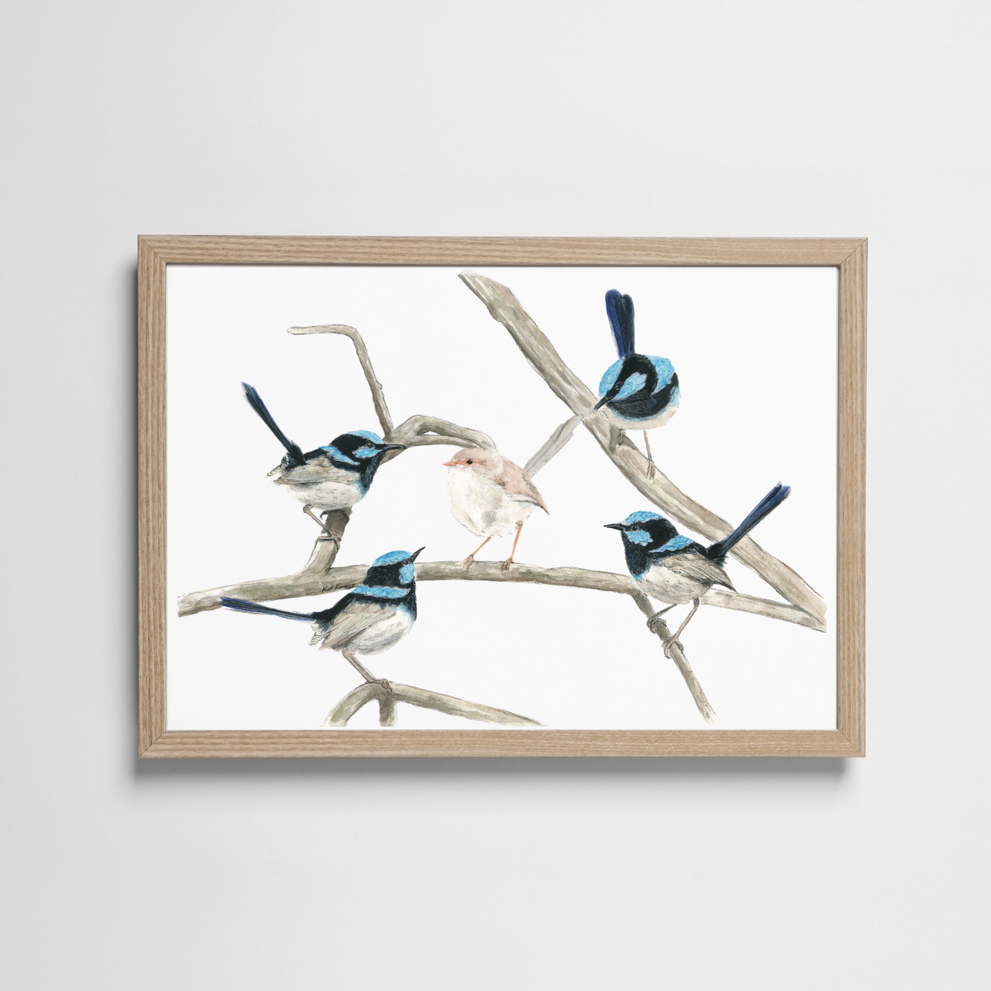 A Blue Wren Gathering