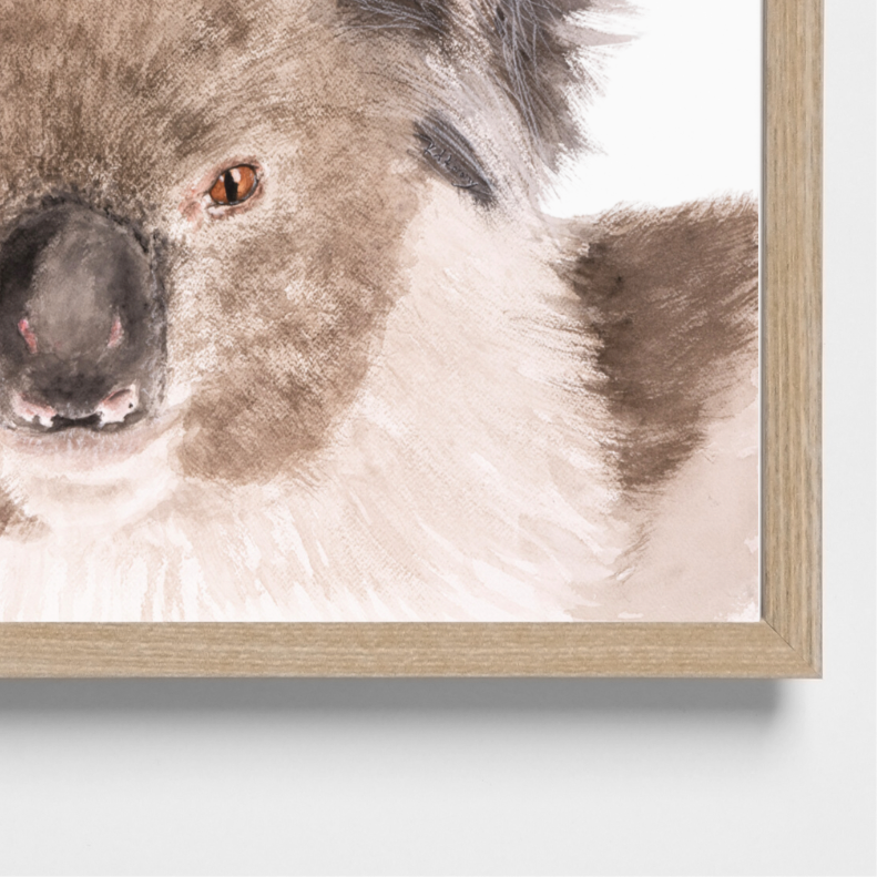 Holly the Koala
