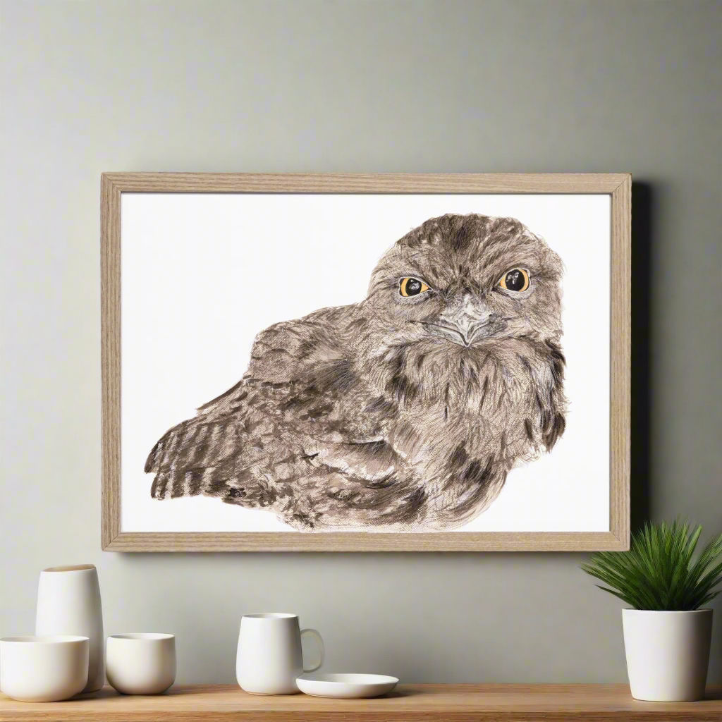 Ewok the tawny frogmouth