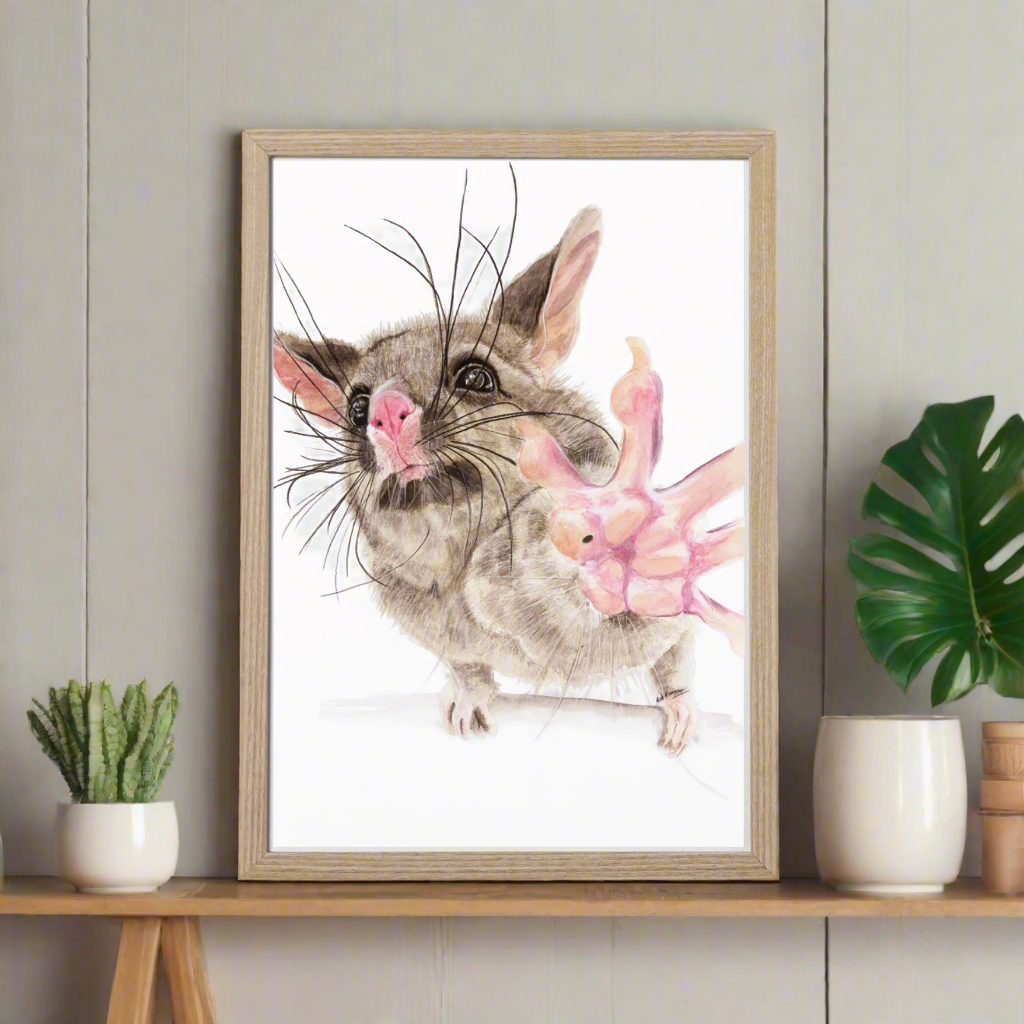 Guaka the brushtail possum