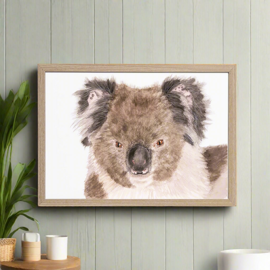 Holly the Koala