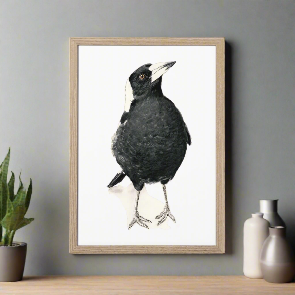 Jackie the magpie