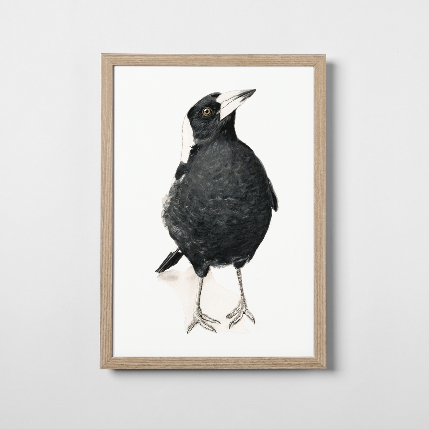 Jackie the magpie