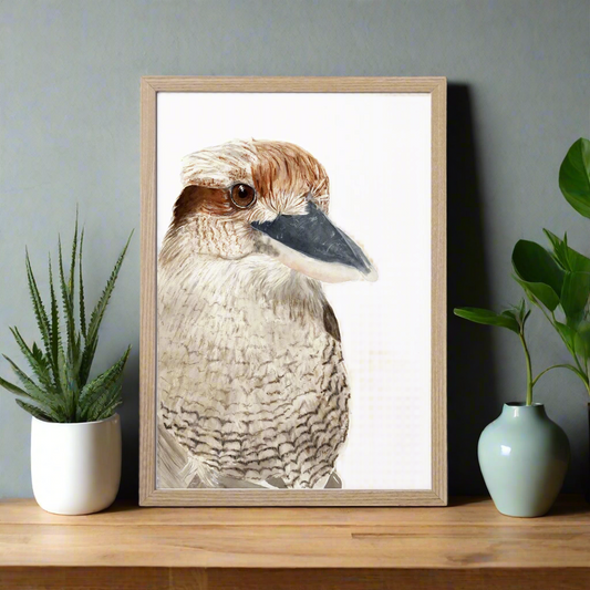 Kookie The Kookaburra