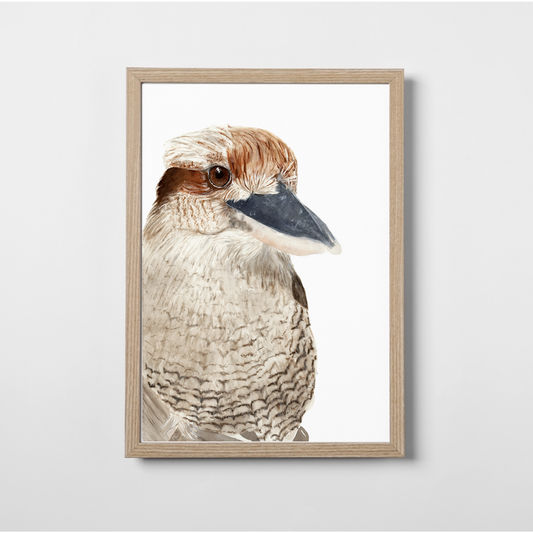 Kookie the Kookaburra