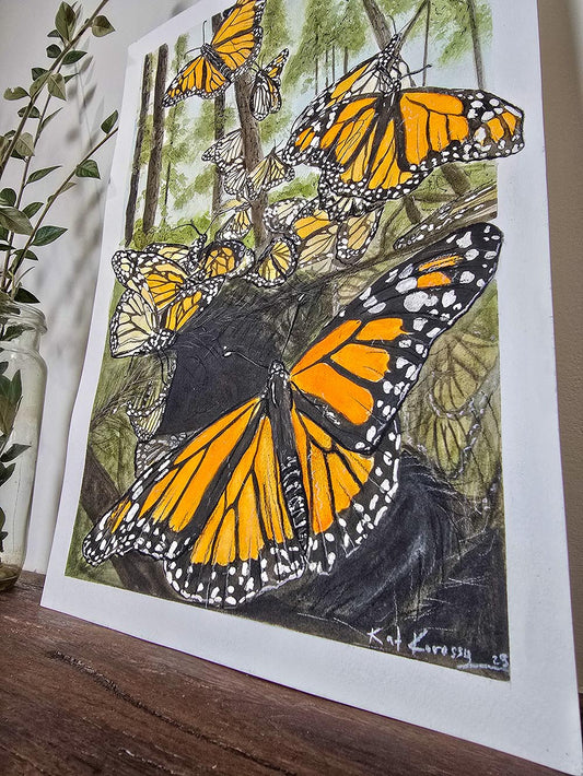Monarch Butterfies