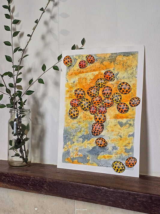 Ladybirds