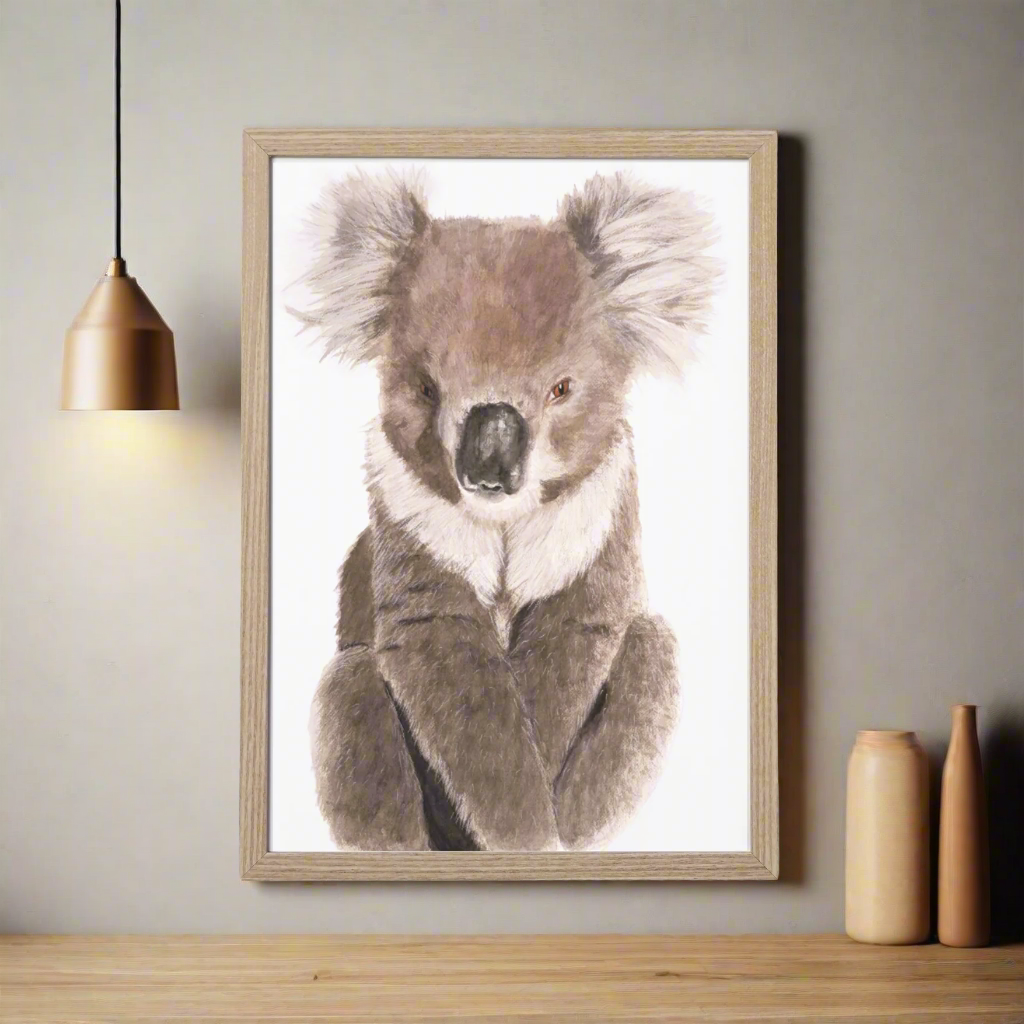 Noah the Koala