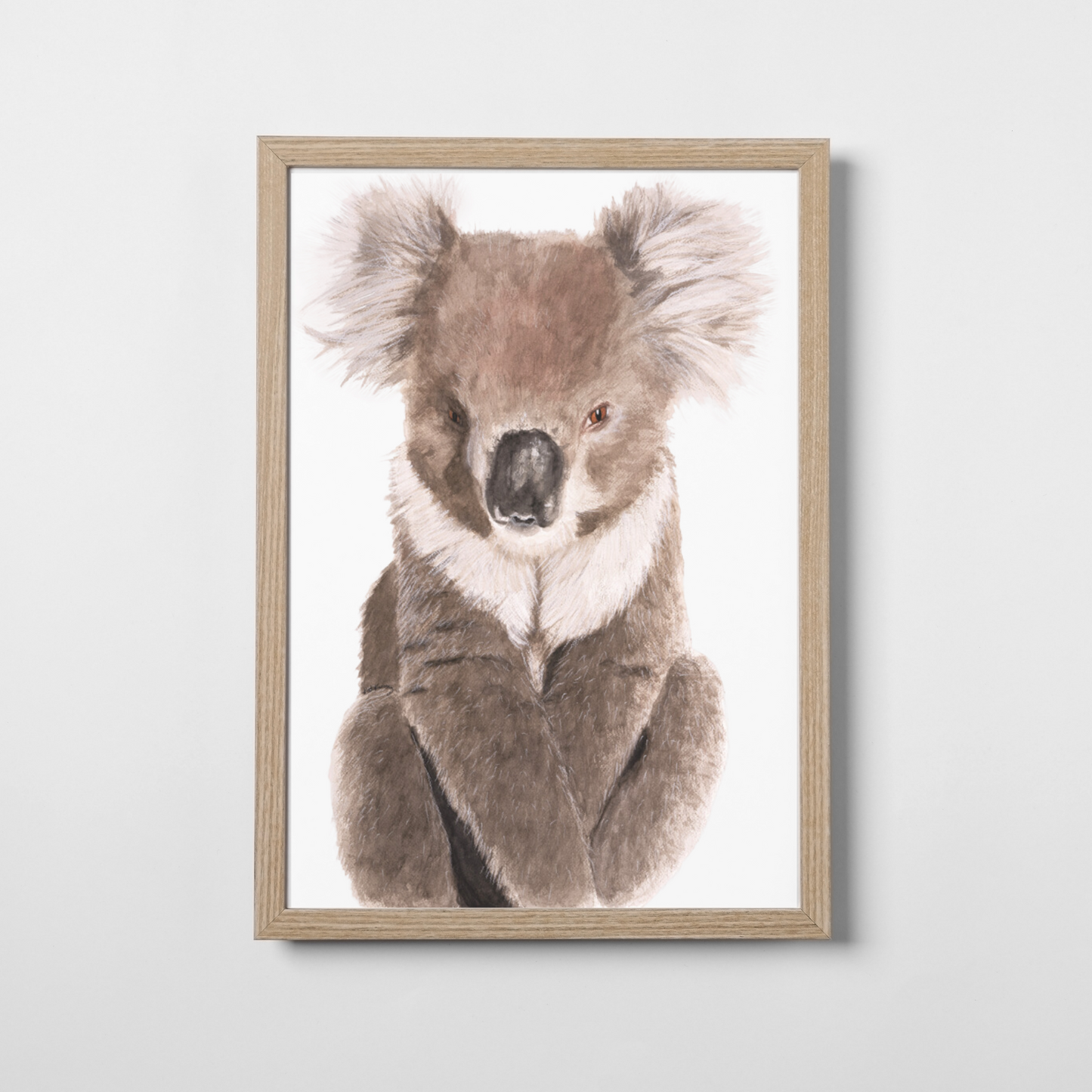 Noah the Koala