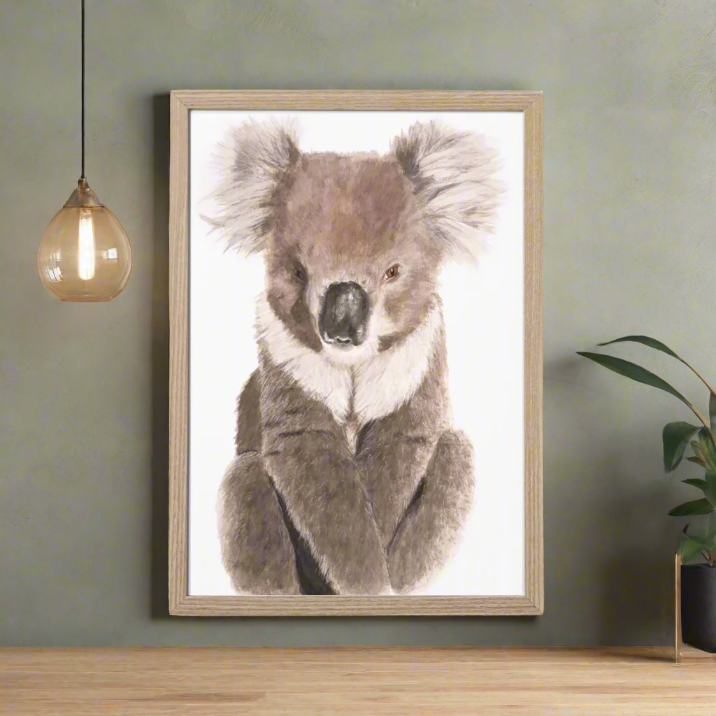 Noah the Koala