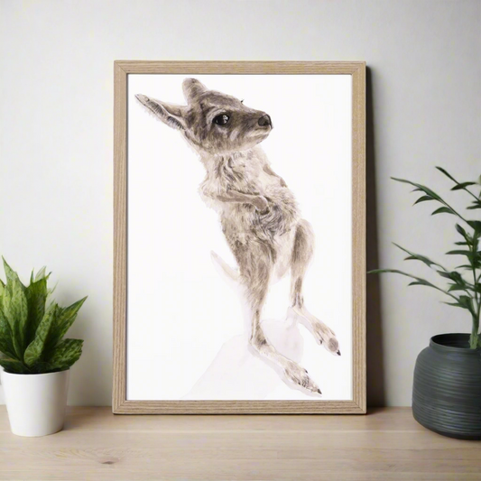 Nugget the joey - Belly Scratch