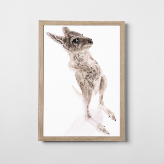 Nugget the Joey Belly Scratches