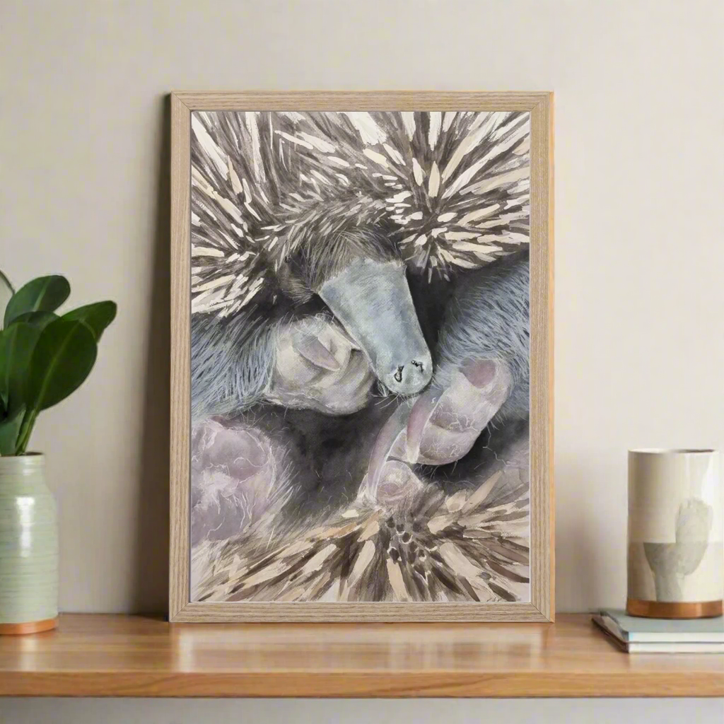 Deena The Echidna