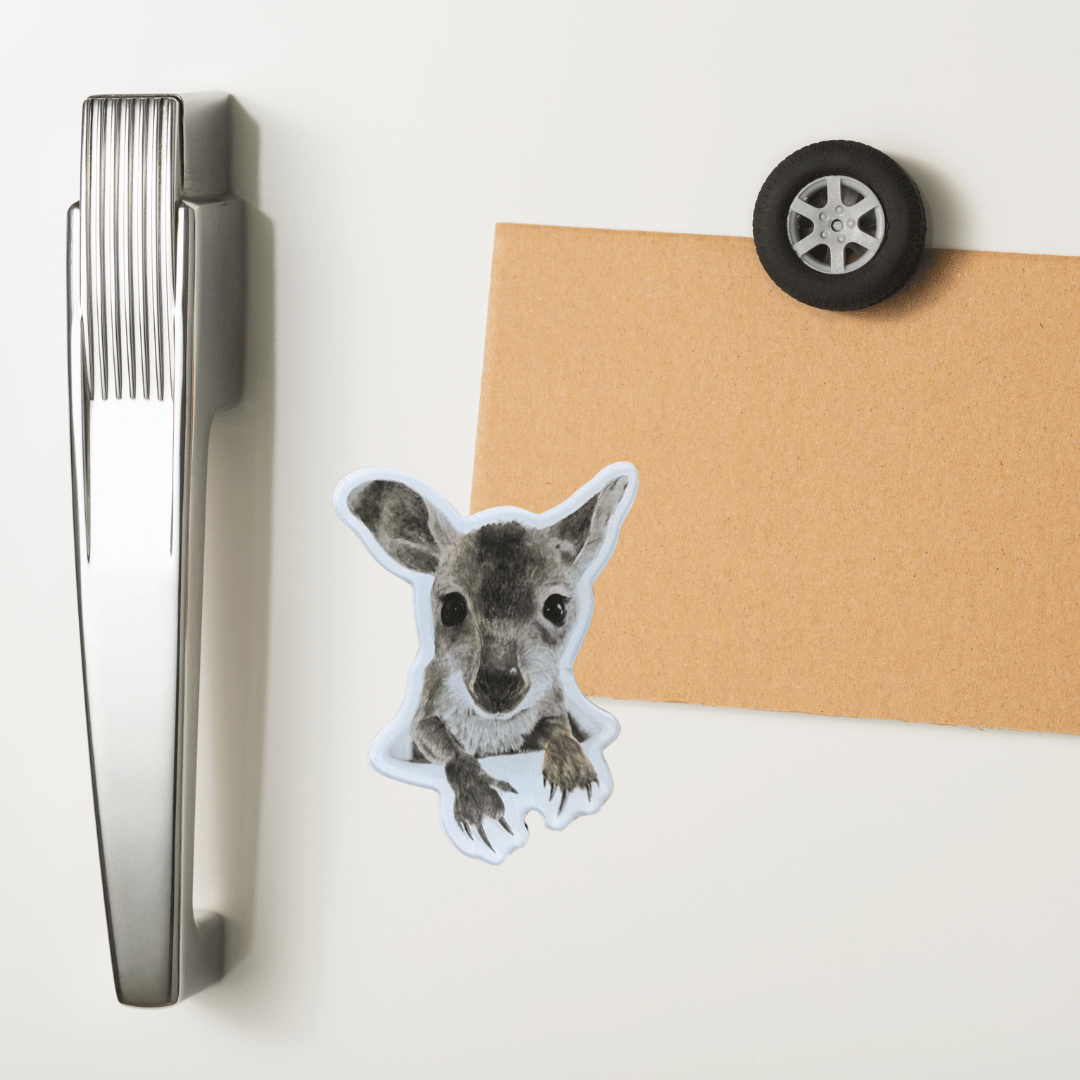 Magnets