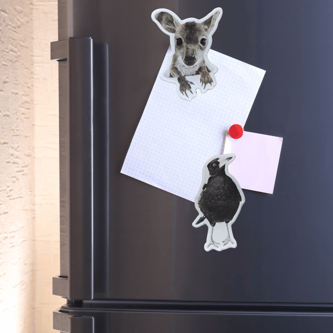 Magnets