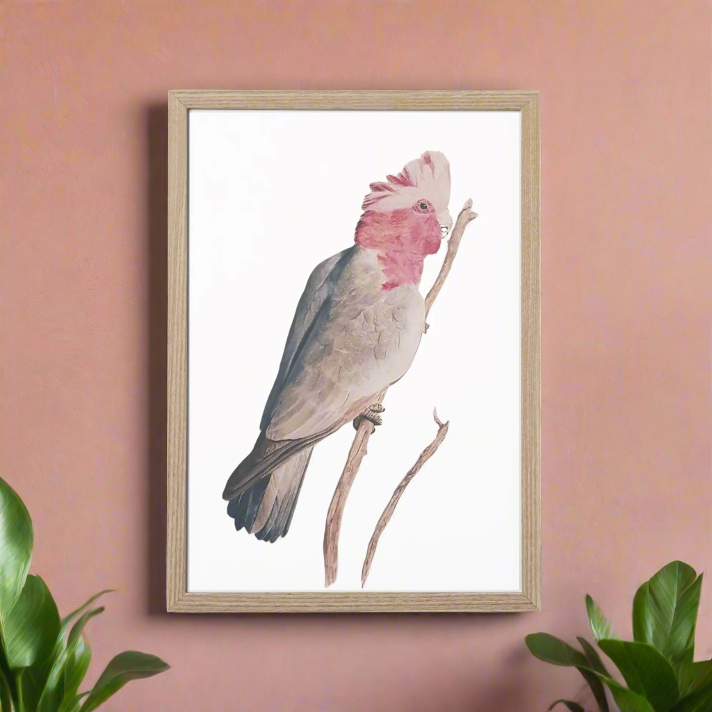 Art Prints & Cards wholesale