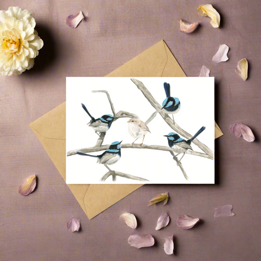 A Blue Wren Gathering