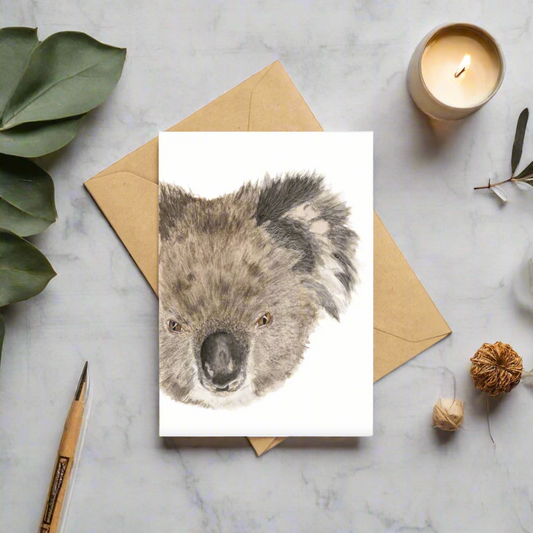 Half of Holly the Koala