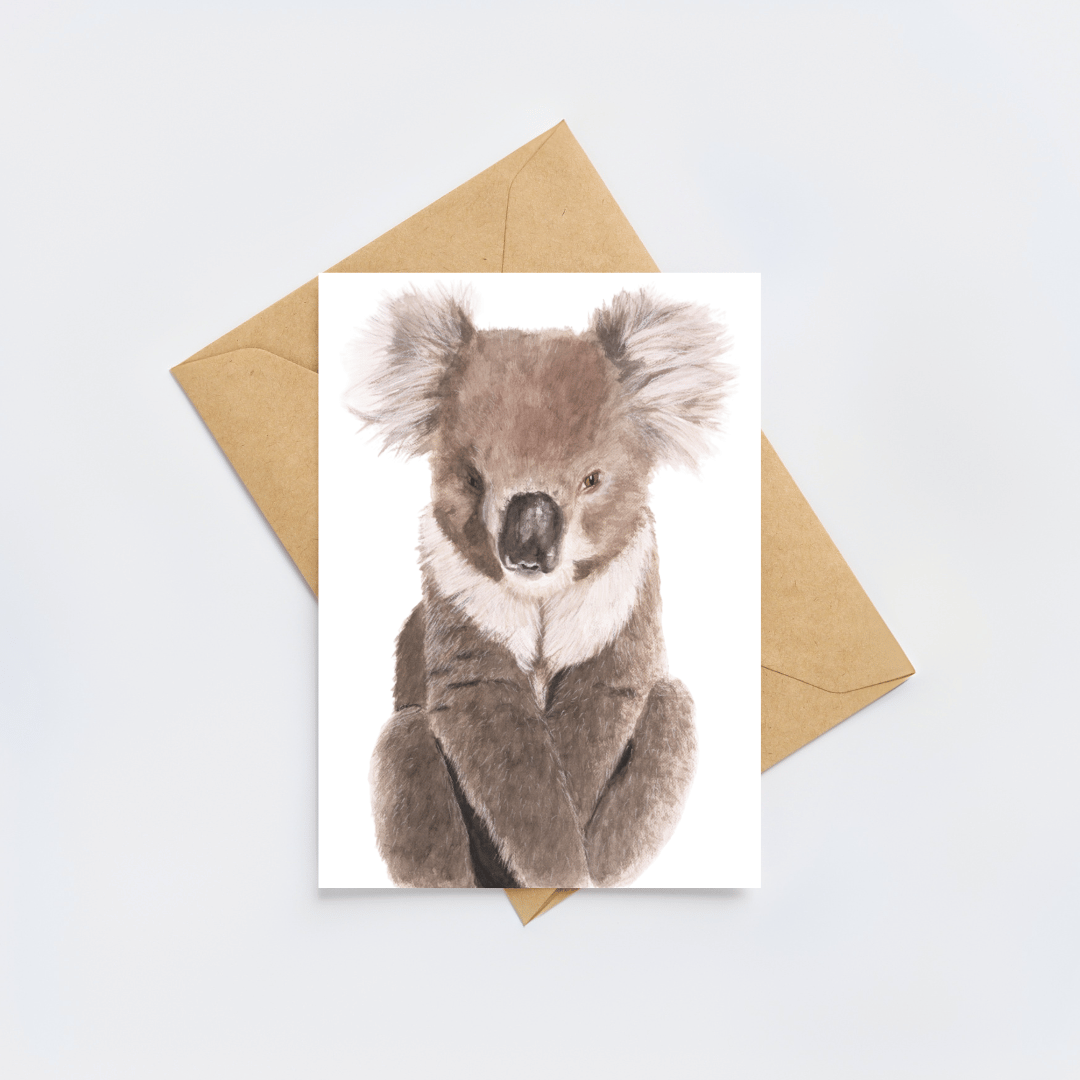Noah the Koala