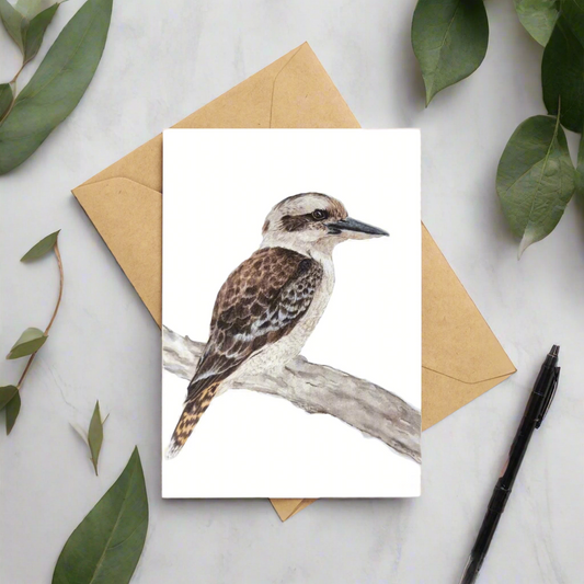 Cookie the Kookaburra