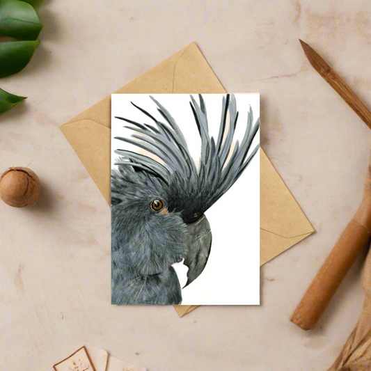 Seisia The Palm Cockatoo