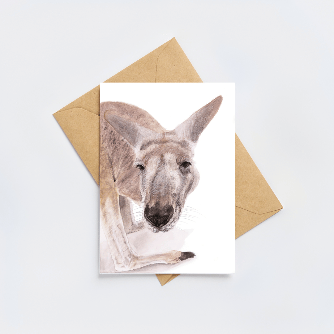Boof the Kangaroo