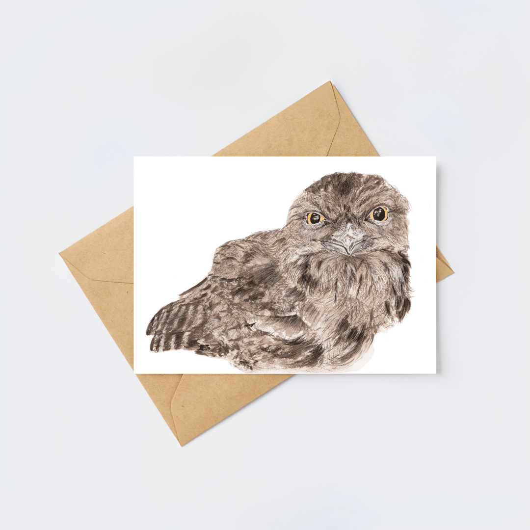 Ewok the tawny frogmouth