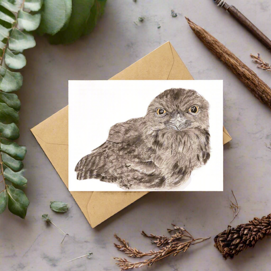 Ewok the tawny frogmouth