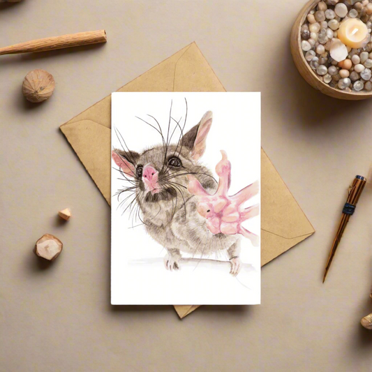 Guaka the Bushtail possum