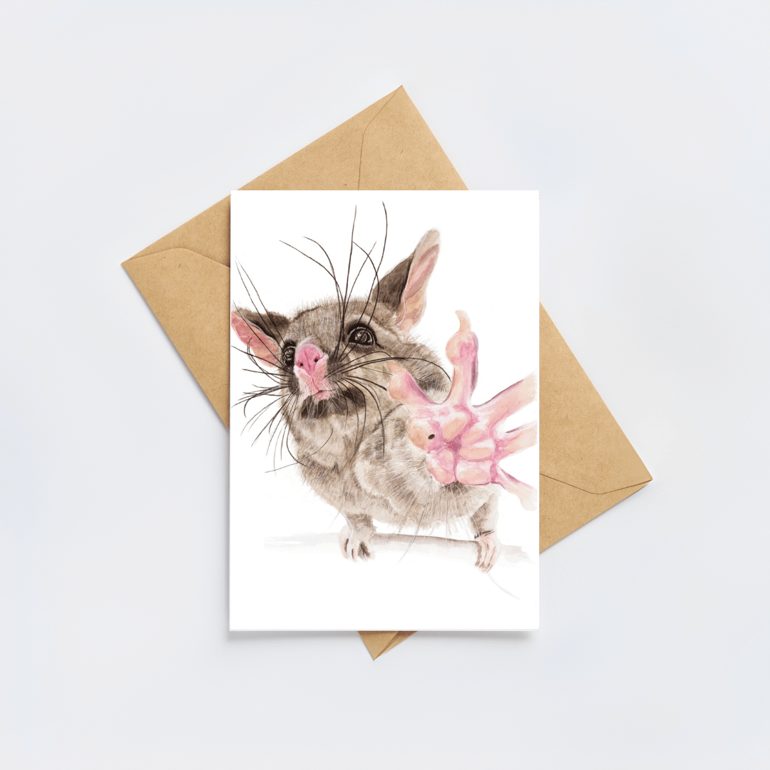Guaka the Bushtail possum