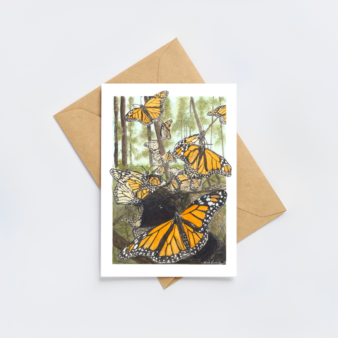 Monarch Butterflies