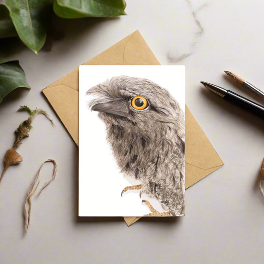 Puffles the Tawny Frogmouth