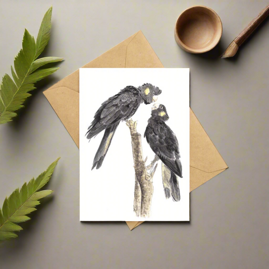 Yellow Tailed Black Cockatoo