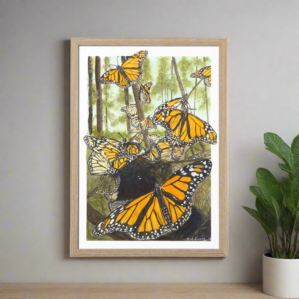 Monarch Butterfly