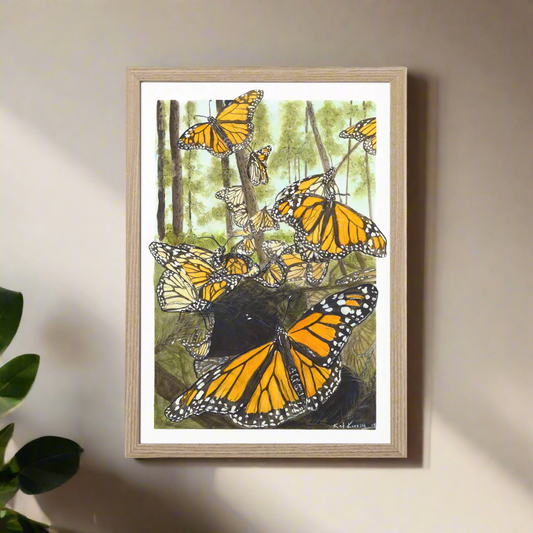 Monarch Butterfly