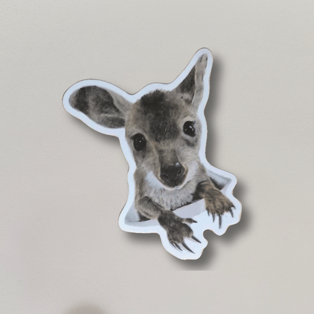 Nugget the Joey