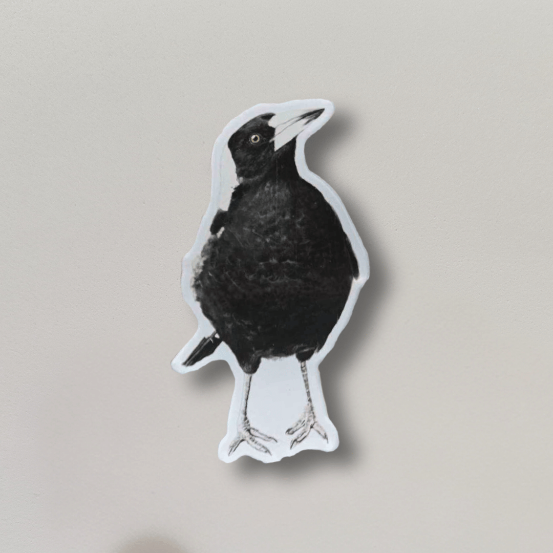Jackie the Magpie