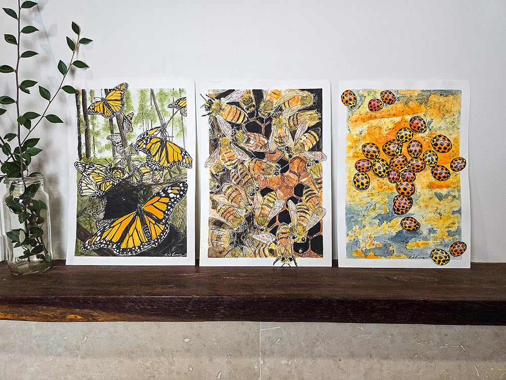 Insect Originals