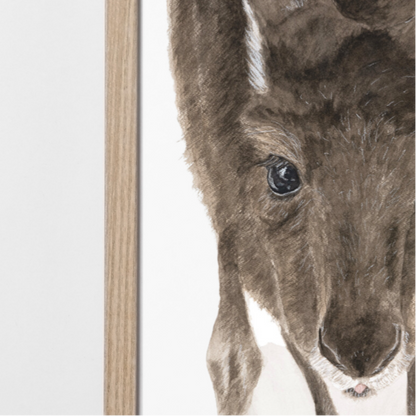 Moppy the Joey