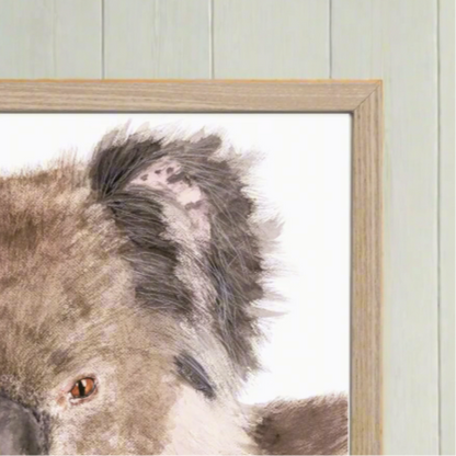 Holly the Koala
