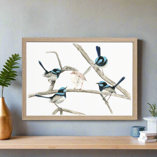 A Blue Wren Gathering