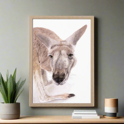 Boof the Kangaroo