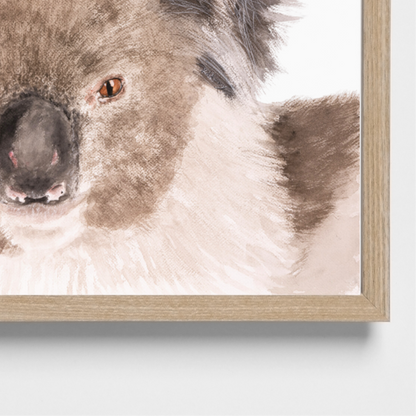 Holly the Koala