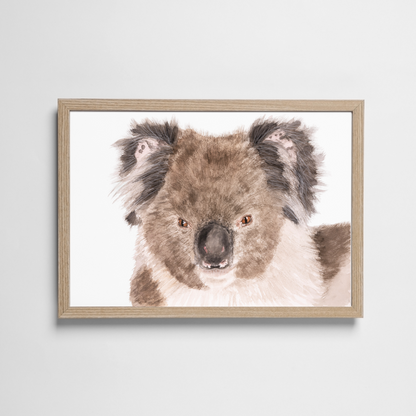 Holly the Koala