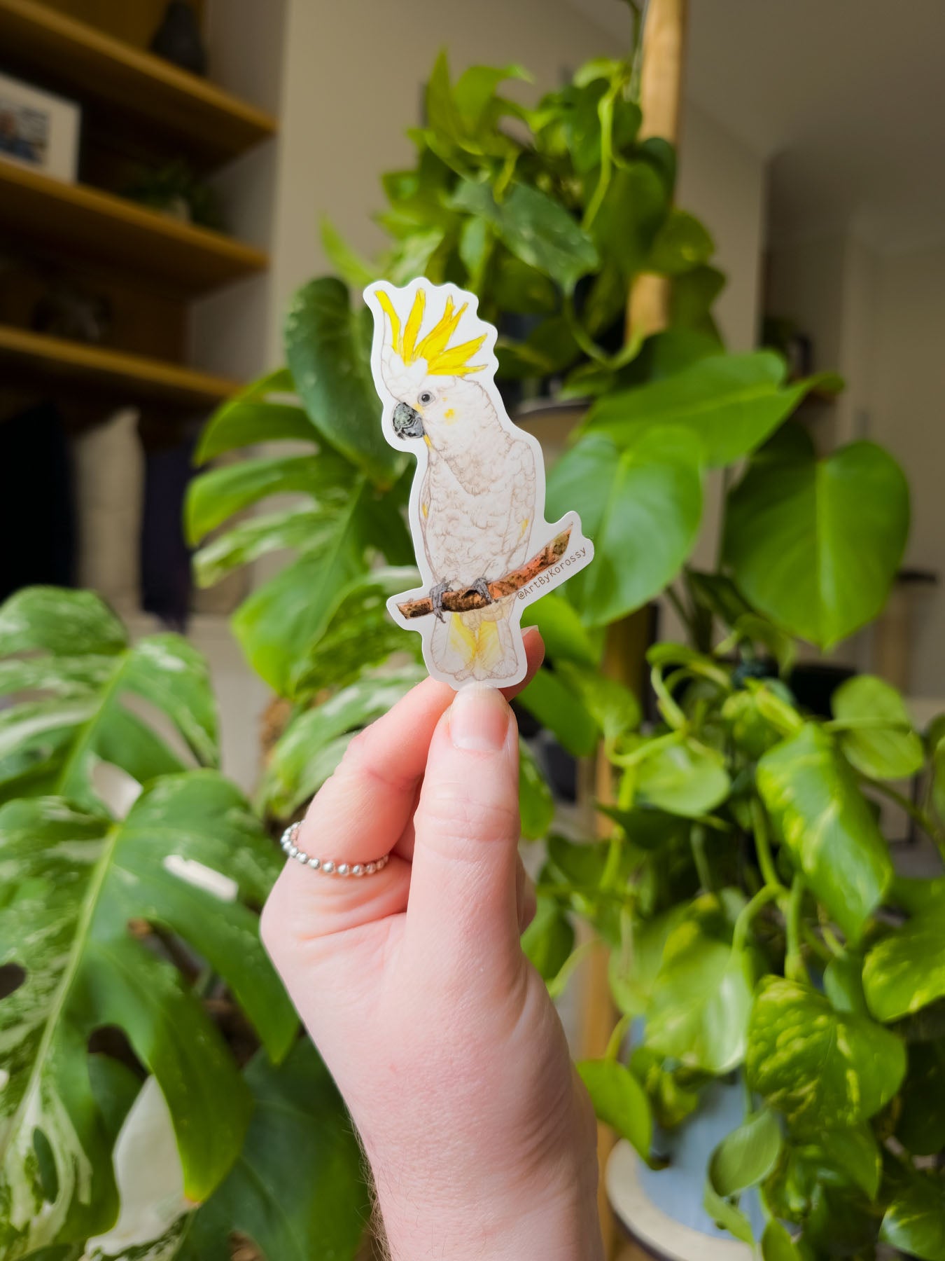 Hand holding a sticker of a cockatoo in front of green plants