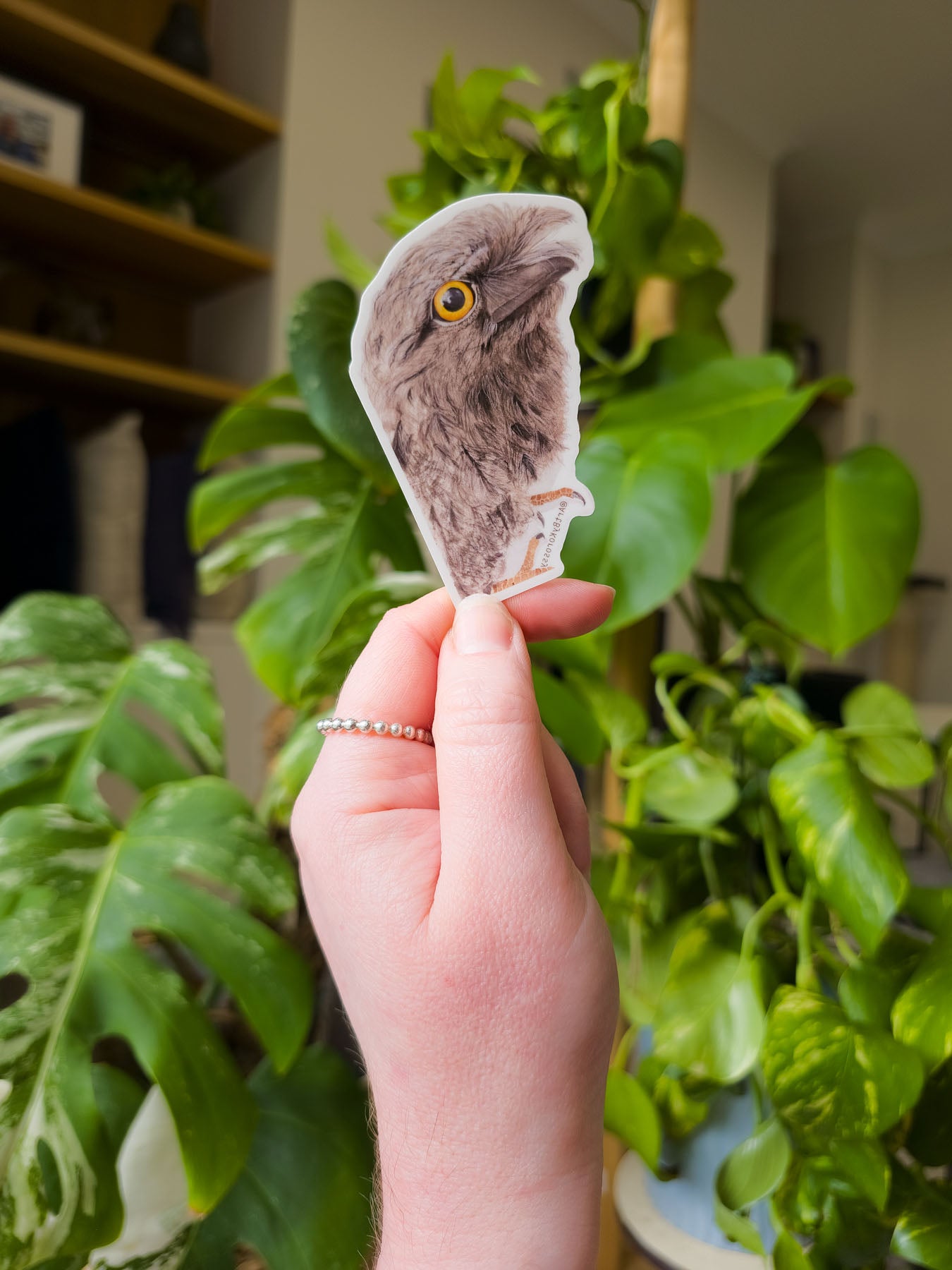 Accessories Wholesale