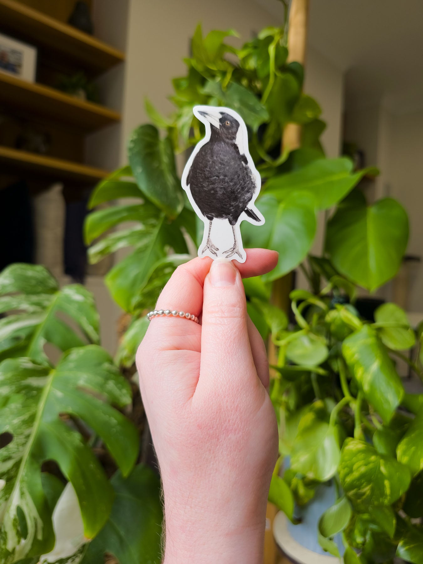 Accessories Wholesale